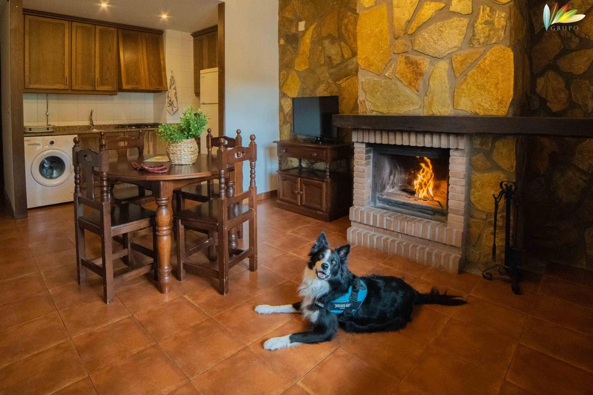 Apartamentos Los Olivos Alcala del Jucar Eksteriør bilde
